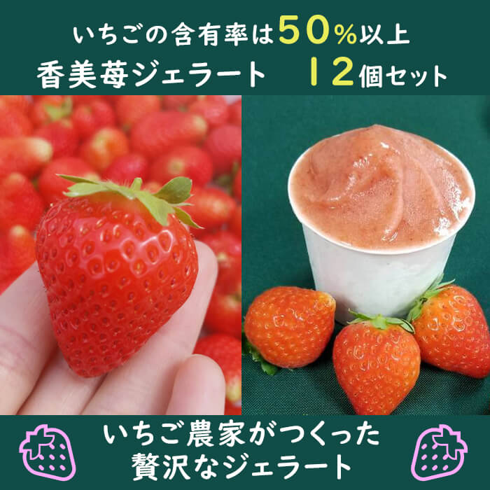 香美苺のジェラート 12個セット(兵庫県但馬のイチゴを50％以上使用）（7,500pt）